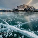 Print in the VCC 2019 Print Show