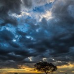 Serengeti Sunset in Tanzania