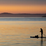 A Man and his dog on a paddle board