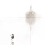 Soft Morning - Sail Boat and Great Blue Heron