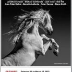 poster for the New Photographer's Gallery showing Leah Gray's white stallion photograph