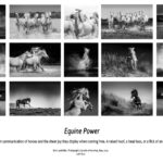 Photographic Society of America Silver Portfolio